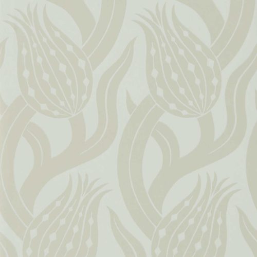Persian Tulip 312998